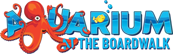 Aquarium At the Boardwalk